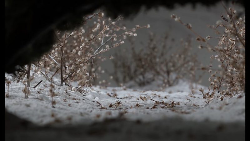 The rain
